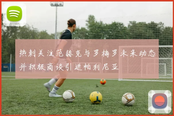 热刺关注范赫克与罗梅罗未来动态并积极商谈引进帕利尼亚
