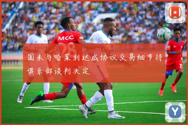国米与哈莱利达成协议交易细节待俱乐部谈判决定